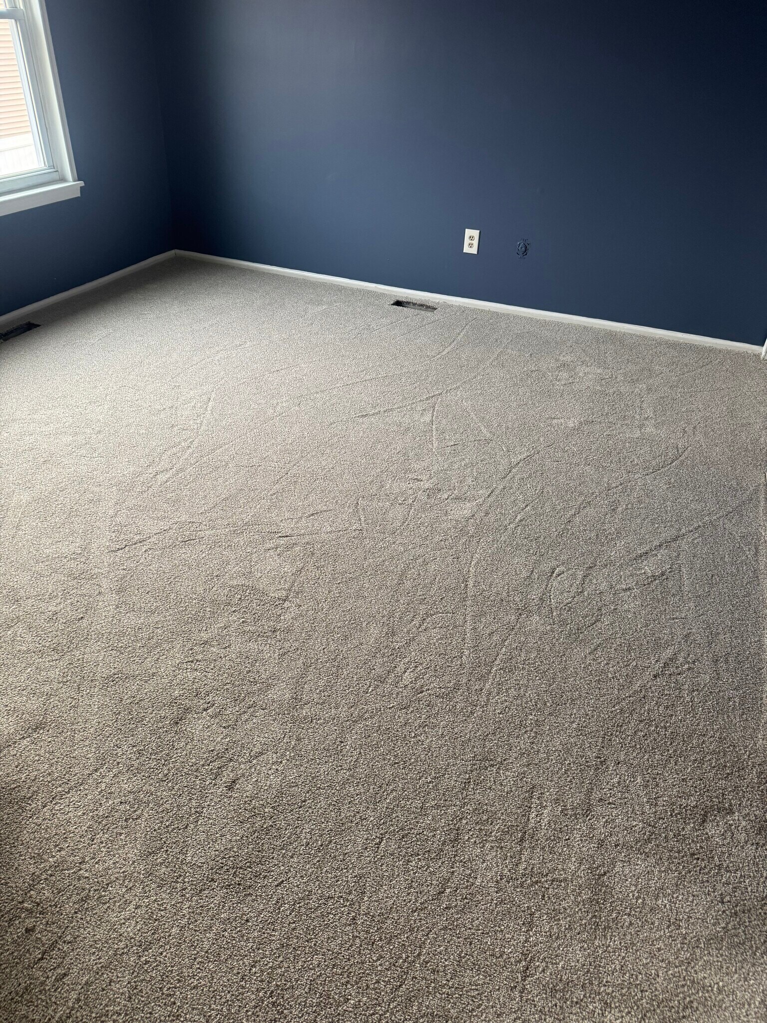 Building Photo - 39 Canis Ct