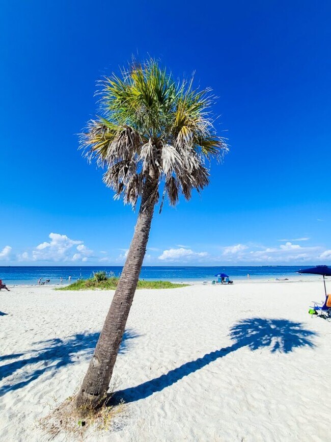 Building Photo - 435 Cary Ln