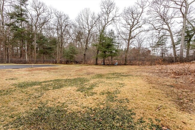 Building Photo - 157 Central St