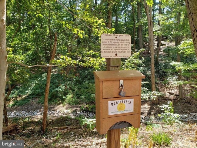 Building Photo - 5903 Mt Eagle Dr