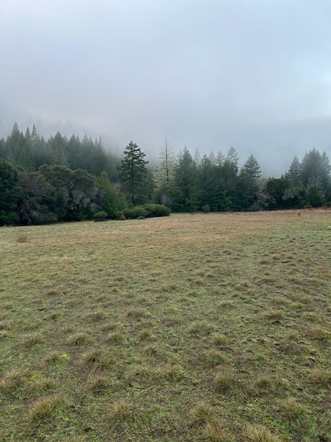 Building Photo - 41500 Wilderness Lodge Rd