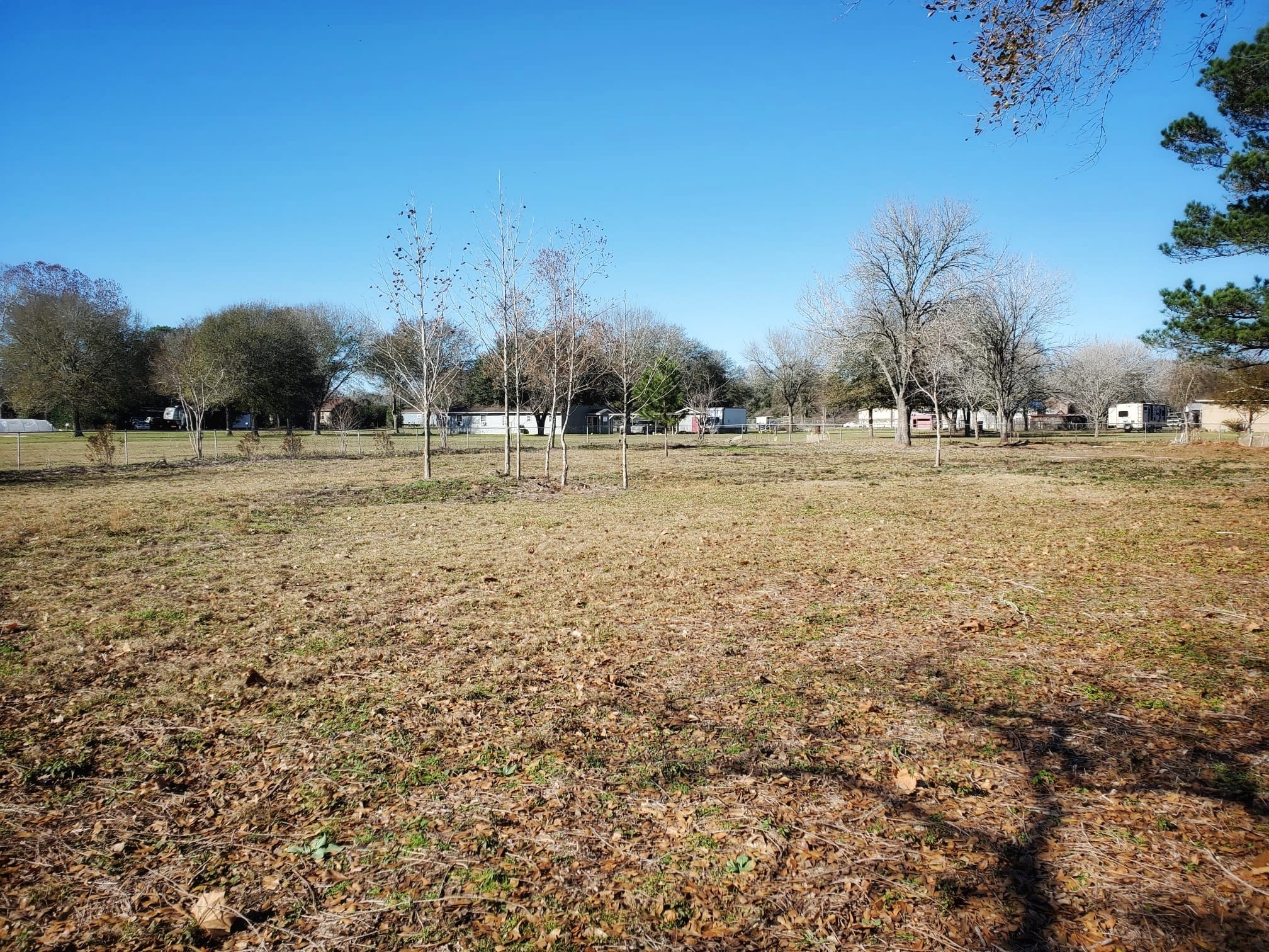 HUGE 2 acre fenced lot. - 37438 Meadowview Dr