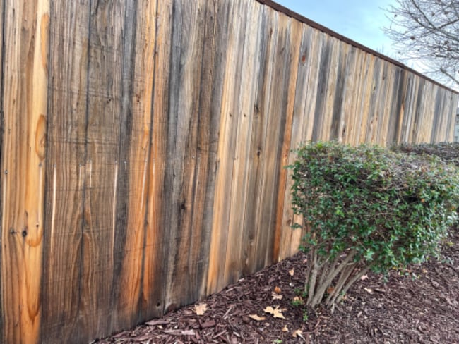 Building Photo - 9454 California Oak Cir