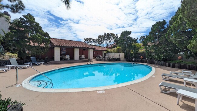 Building Photo - Reduced! Large pets ok! One bed plus office