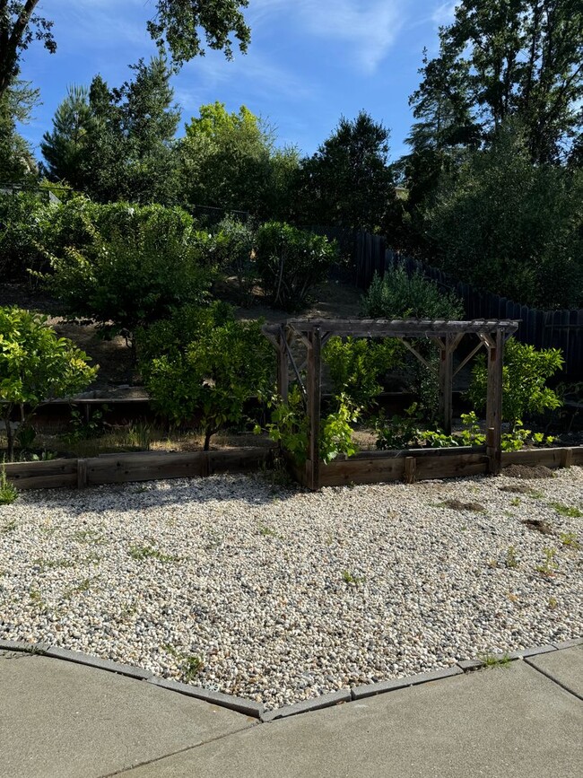 Building Photo - 430 Blue Ridge Dr