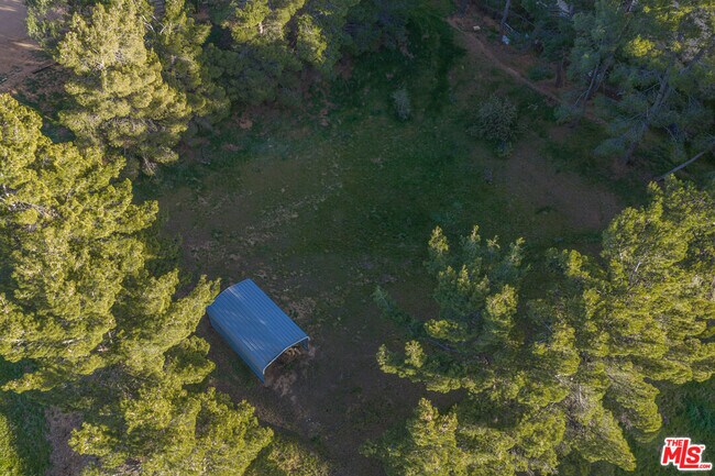 Building Photo - 35315 Glenwall St