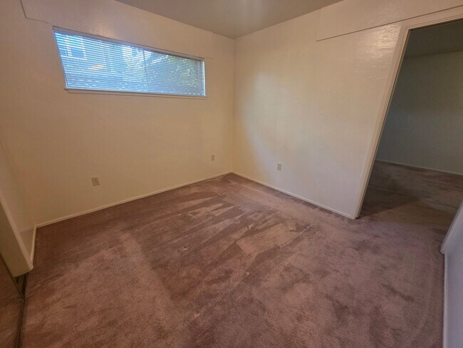 Building Photo - 1-bdr just blocks from Downtown Berkeley