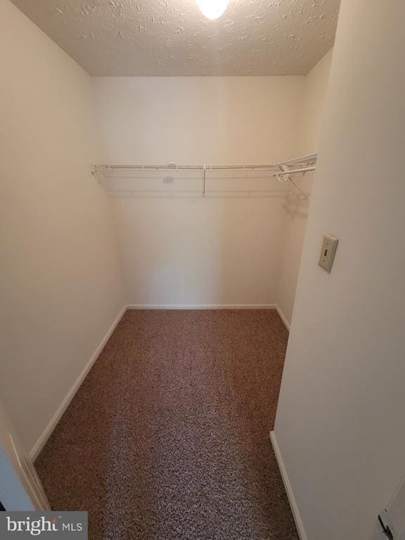 Building Photo - 6406 Bear Ct