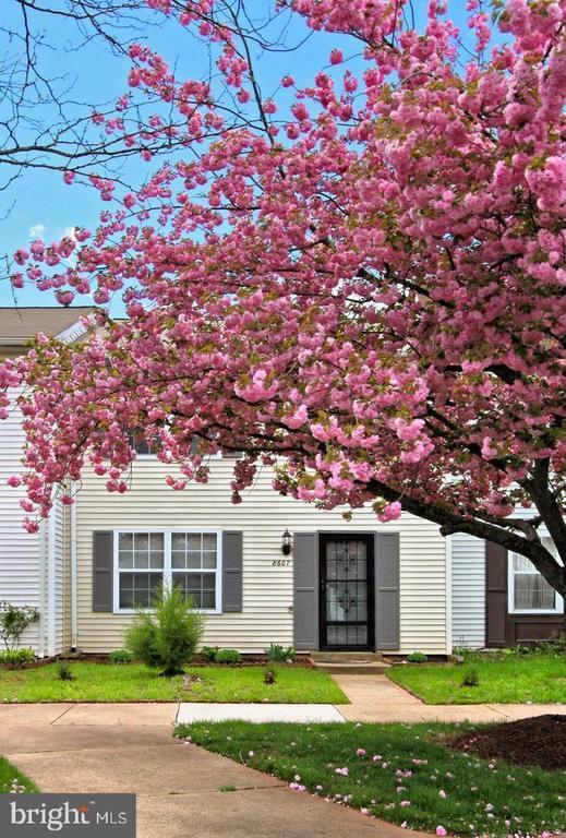 Building Photo - 8607 Woodhue Ct