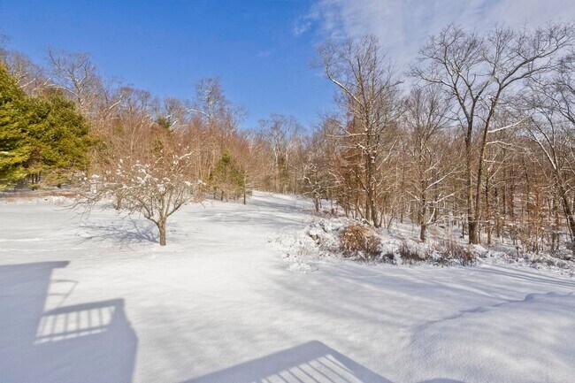 Building Photo - Private 3-Bedroom Single-Family Rental on 10+ Acres - Available for June 1st!