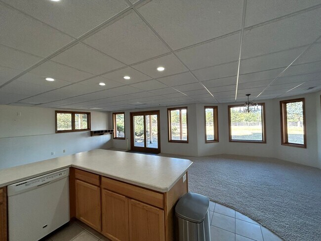 Building Photo - Spacious Daylight Apartment in Hamilton