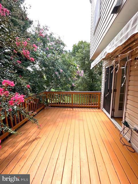 Building Photo - 2063 Stargrass Ct