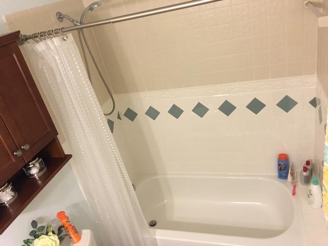 guest bathroom tub - 373 Springdale Cir