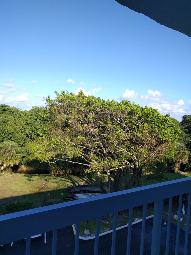 Front balcony with beautiful treelined views. - 198 NW 67th St