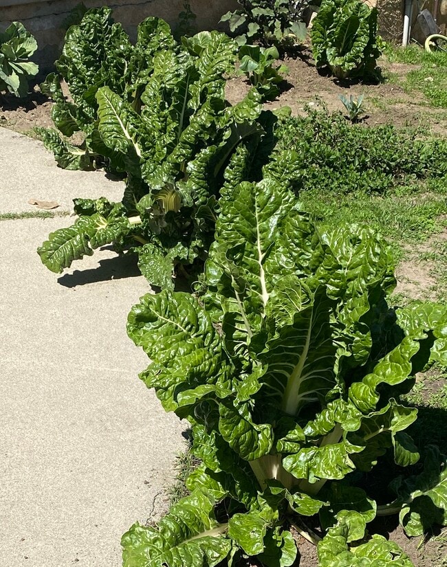 Building Photo - 5965 Wilbur Ave