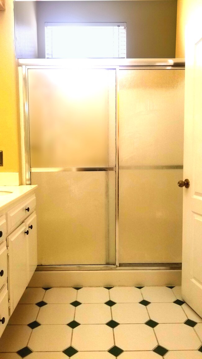 Primary Bathroom : shower stall. - 18118 Flynn Dr