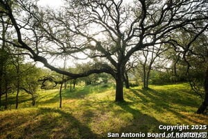 Building Photo - 797 Glendale Rd