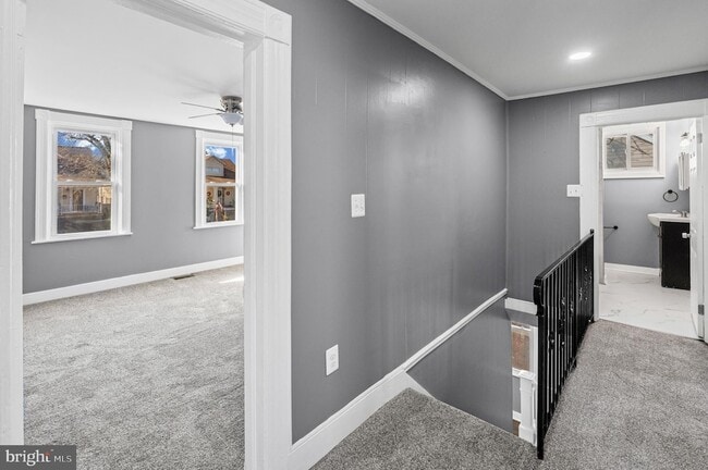 Building Photo - 3014 Royston Ave