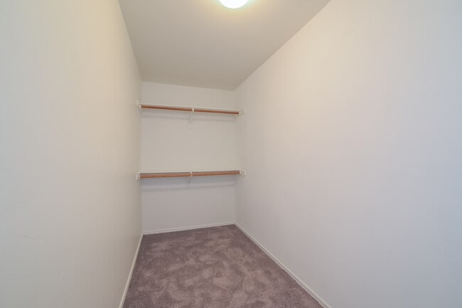 Building Photo - 6809 S Camino De Azar