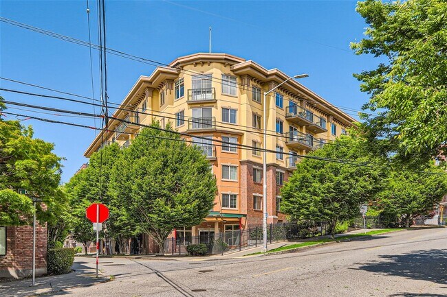 Building Photo - Available August 1st >> Stunning 1BR/1BA C...