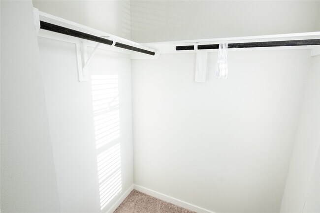 Building Photo - 211 Brazen Forest Trl