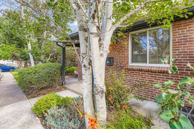 Building Photo - 4 Bed, 2 Bath Duplex in East Colfax – Brig...