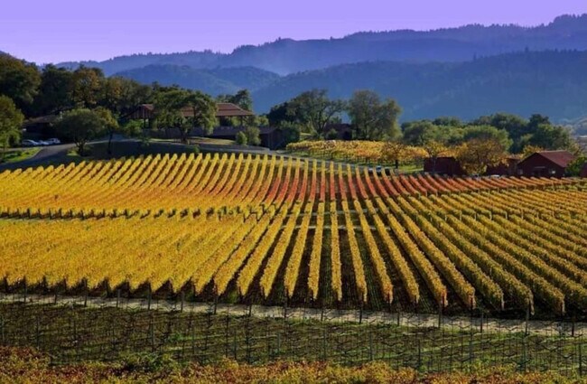 Building Photo - 648 Cottage Dr