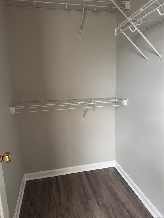 Building Photo - 119 Grasmere Ct