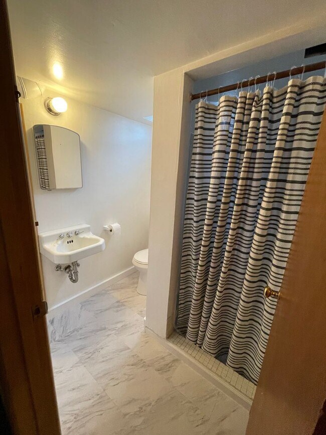 Building Photo - Renovated 3 Bed, 2 Bath House with Large Yard