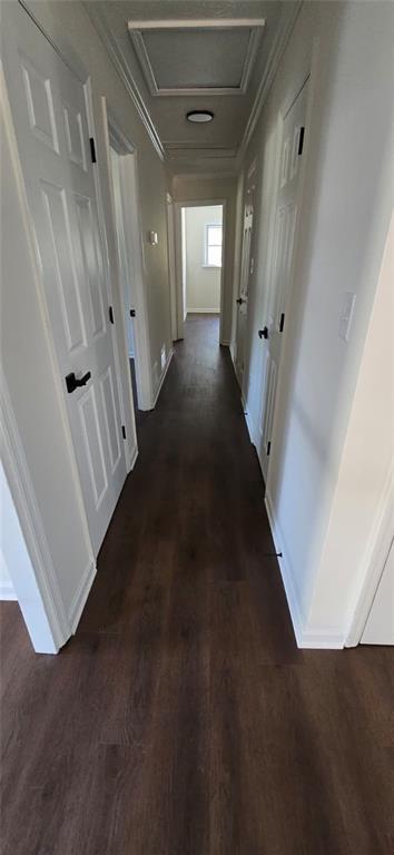 Building Photo - 1240 Mimosa Cir