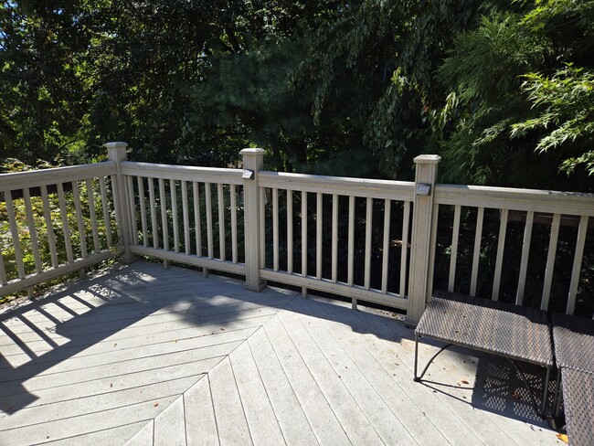 2nd floor deck. - 862 N Lawrence St