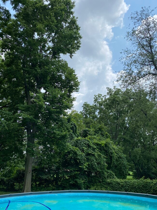 Building Photo - 3020 Parnell Ave