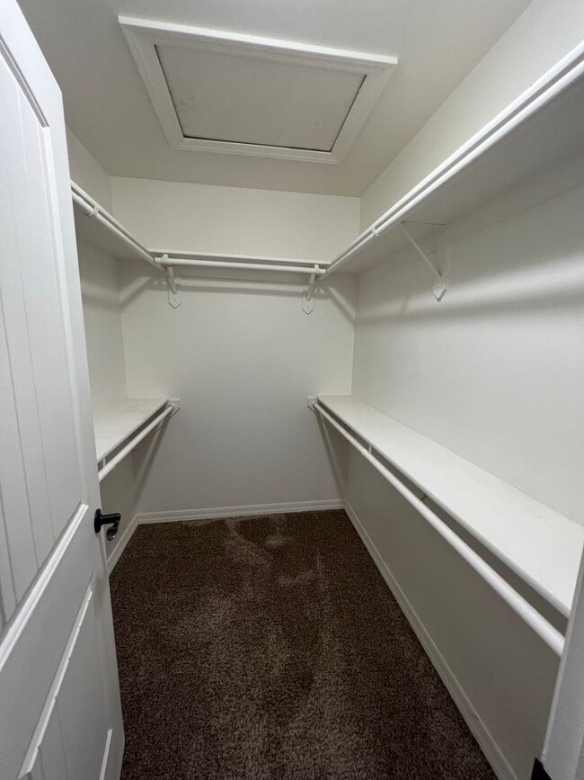 Building Photo - 4 BEDROOM POOL & SOLAR HOME