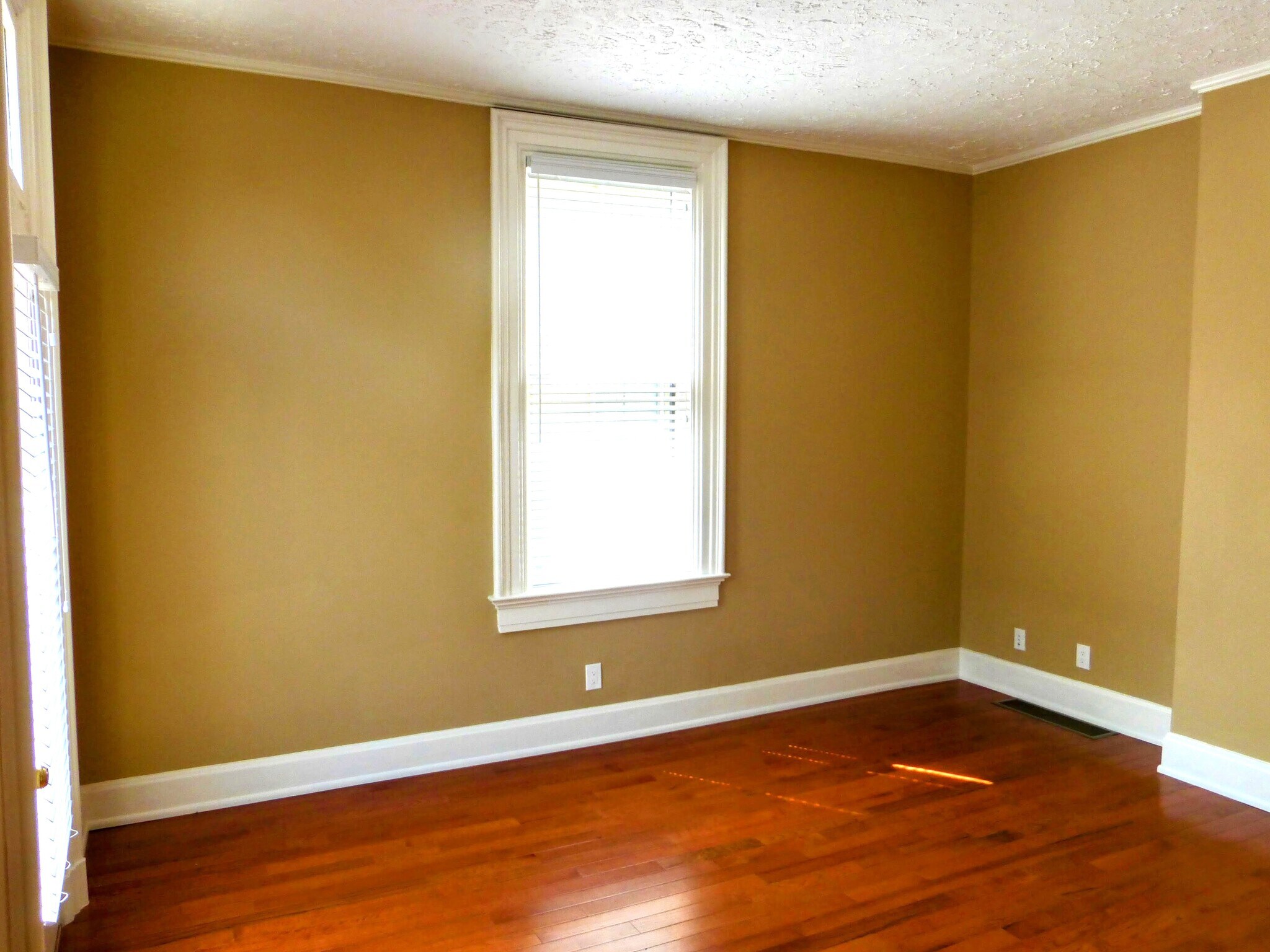 Living Room - 1117 Belvedere St