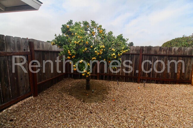 Building Photo - 16702 San Salvador Rd