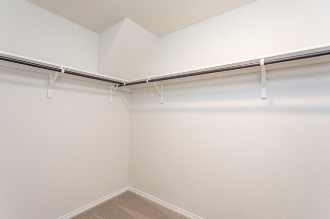 Building Photo - 5203 Scoria Trl