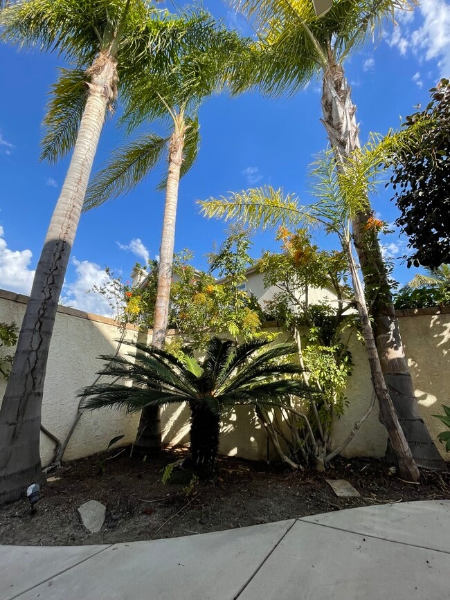 Building Photo - 3116 Promenade