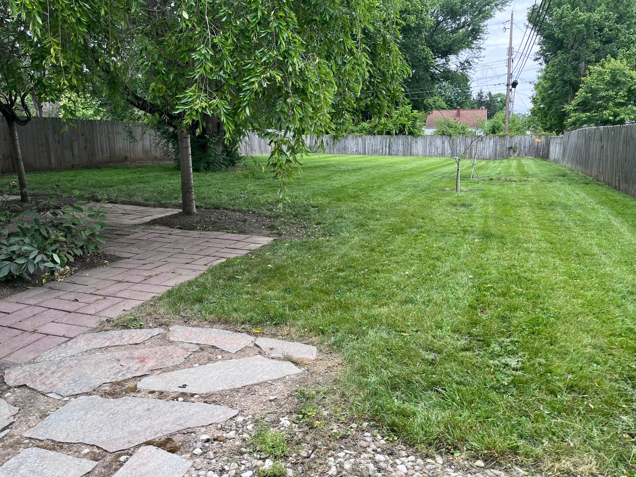 Backyard - 1356 Acton Rd
