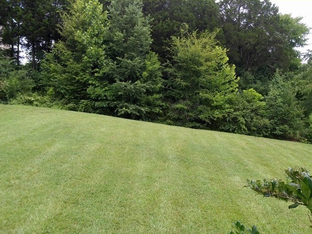 Building Photo - 7204 Sugarloaf Dr