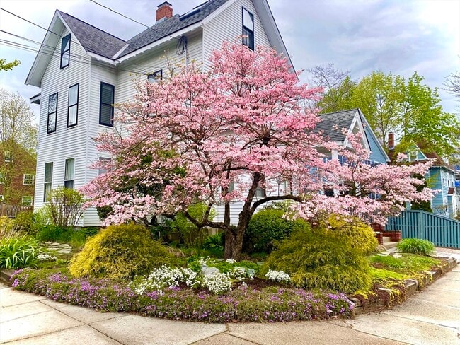 Building Photo - 209 Walnut St