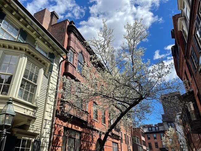 Building Photo - 100 Charles St