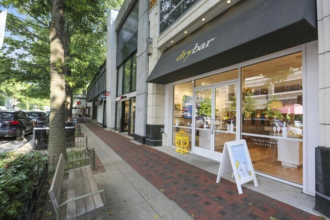 Building Photo - Gorgeous 2/2 with luxurious Lobby Level Condo in Hampden Row