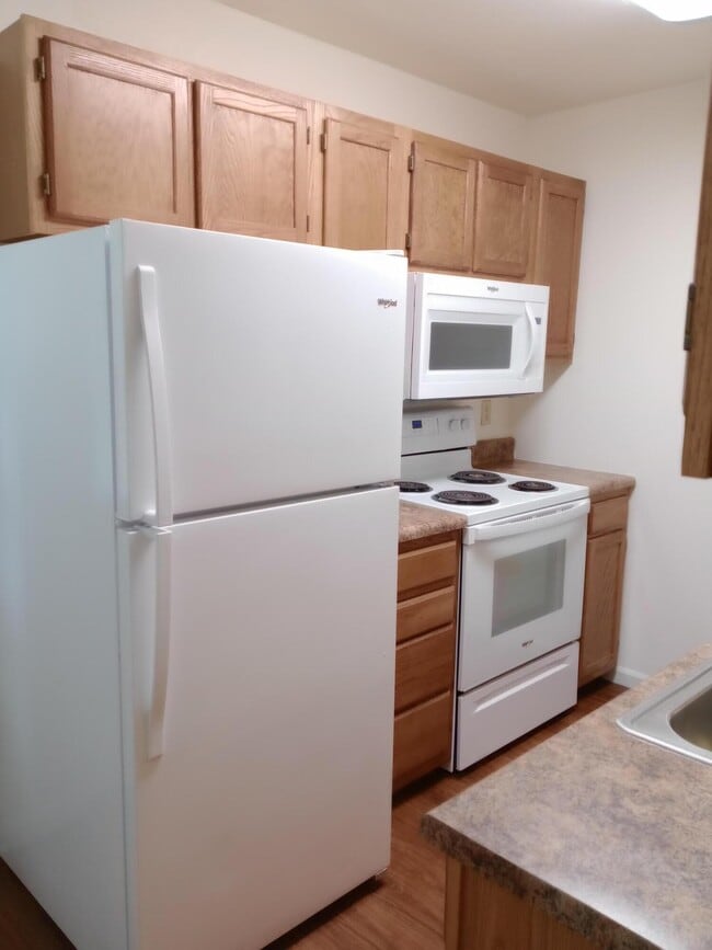 Building Photo - 3501 Delmar Ct