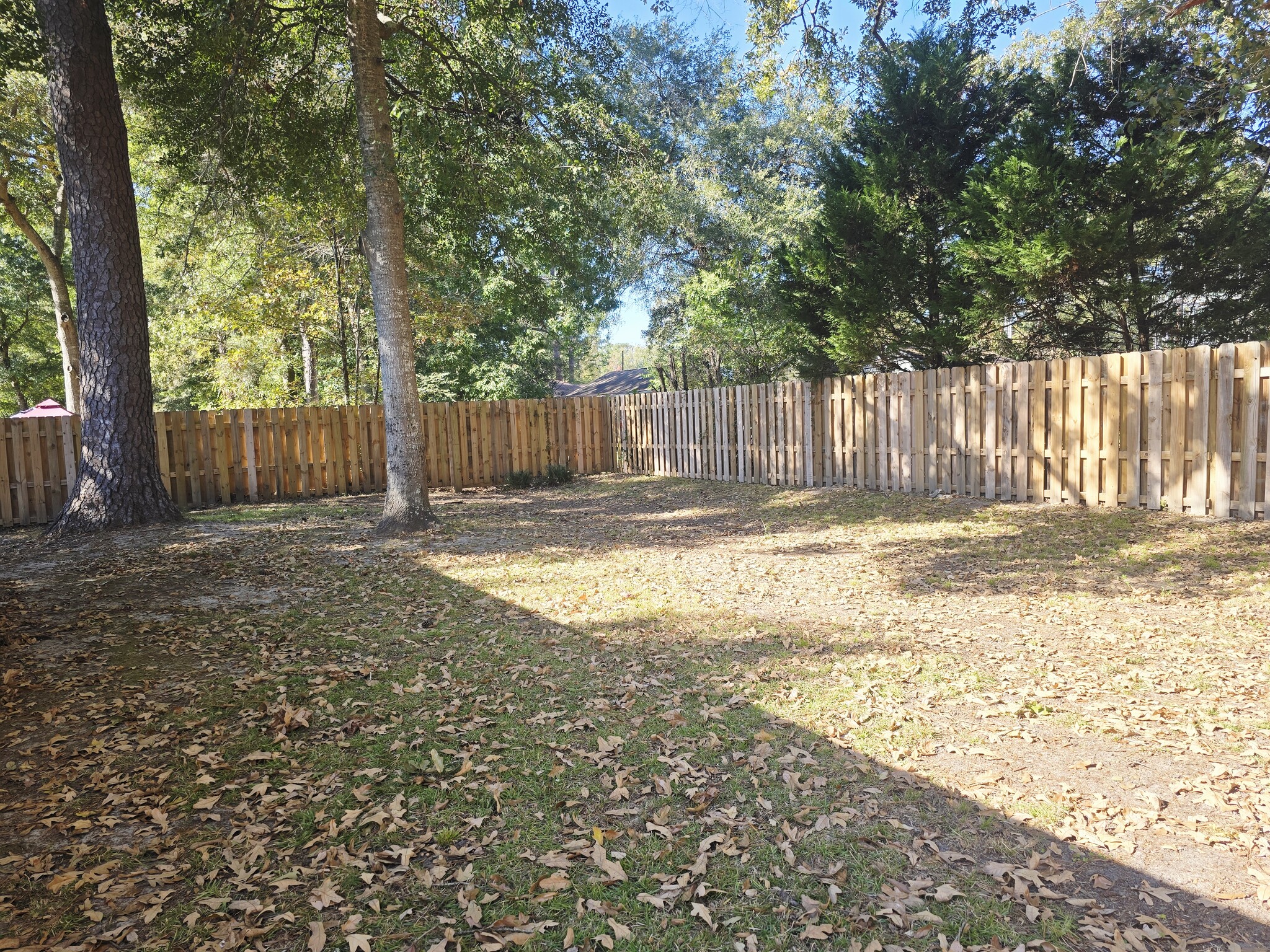 Building Photo - 200 E Mell St