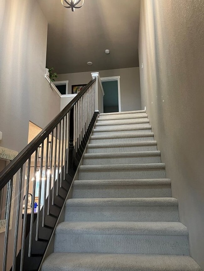 Building Photo - Elegant & Spacious Living in Timnath Ranch