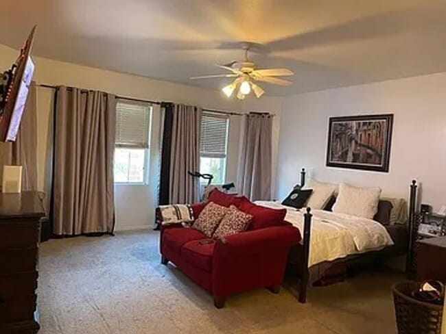 Building Photo - 4302 N Sunset Cliff Dr