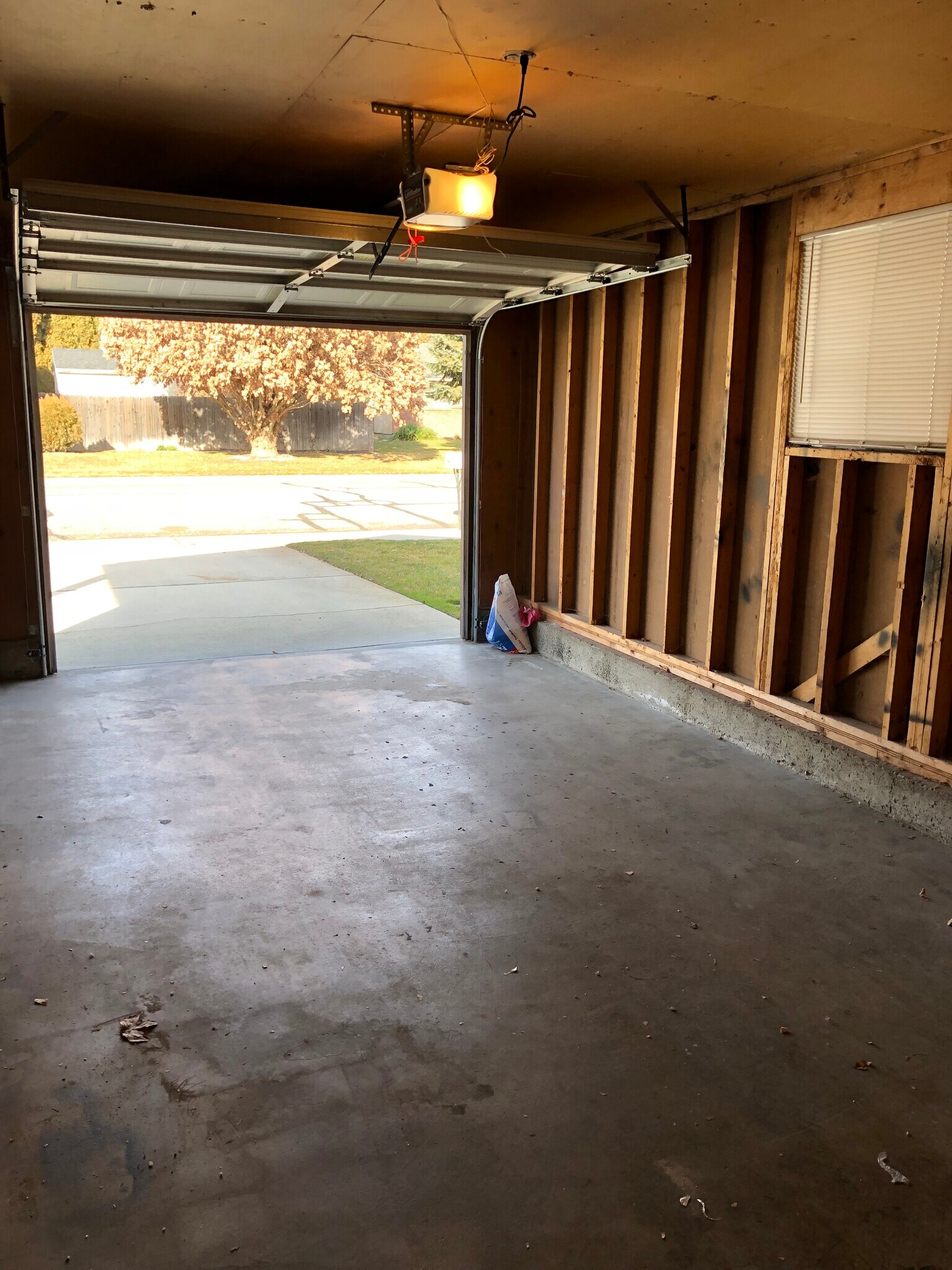 Building Photo - 583 Amanita St