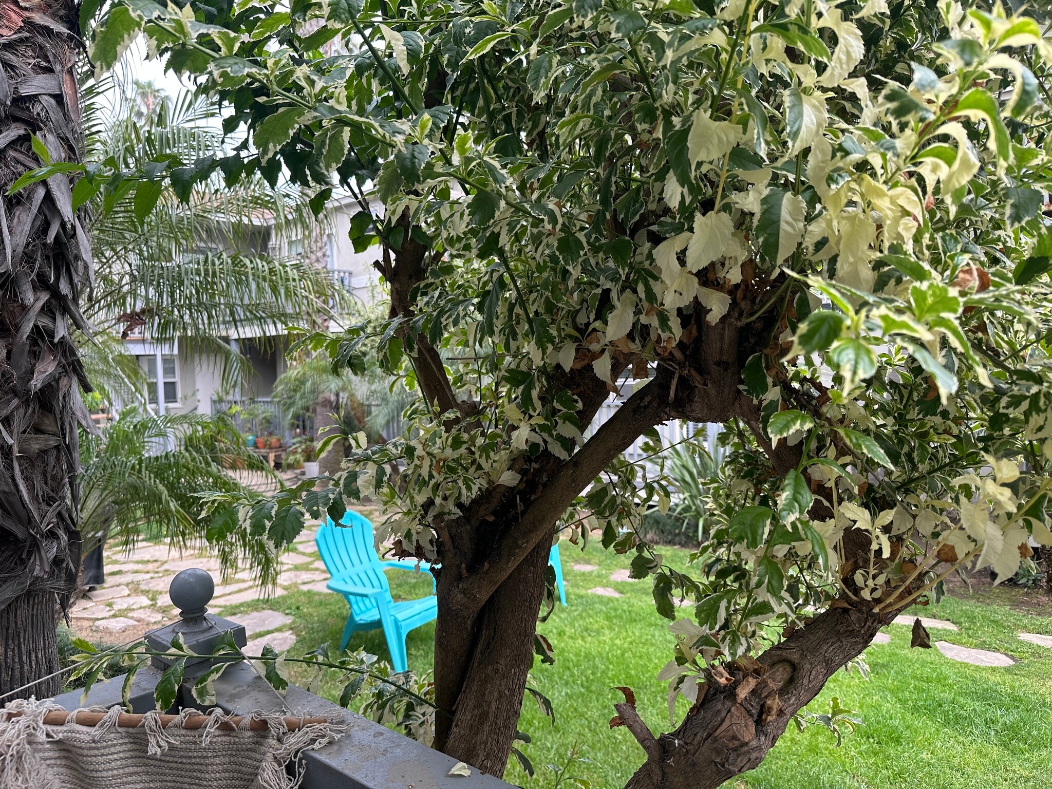 Building Photo - 2221 Ocean Ave