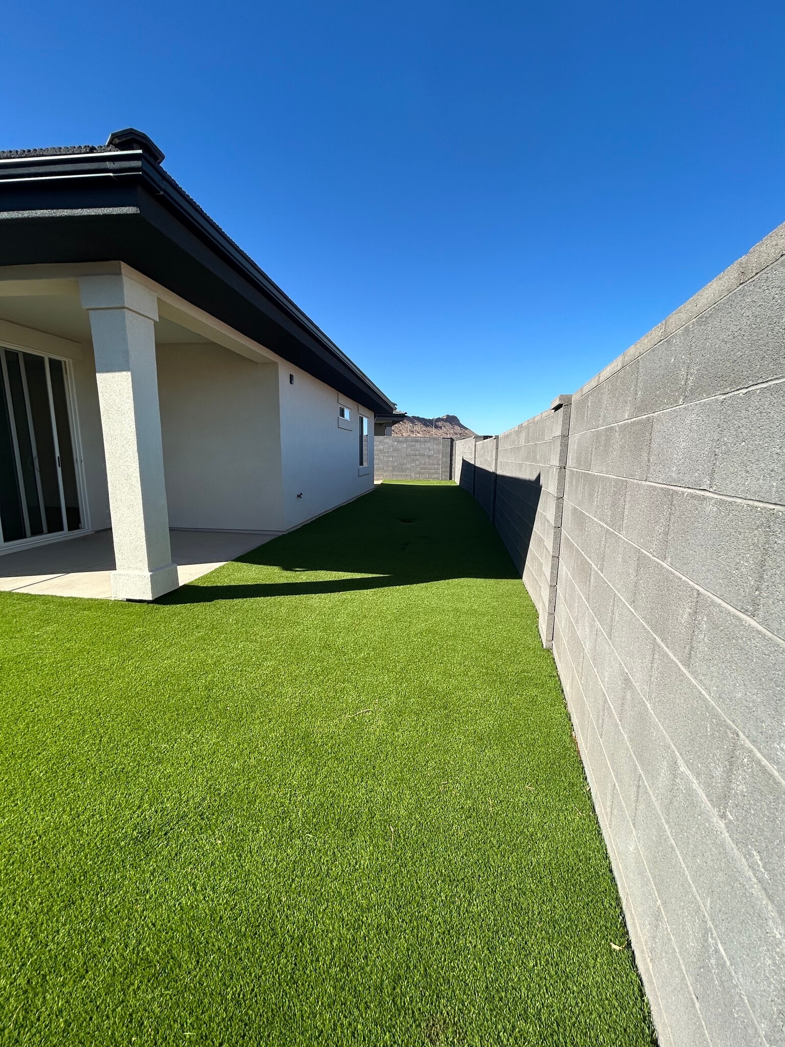 Yard with Artificial Turf - 1362 S Gulch Ln