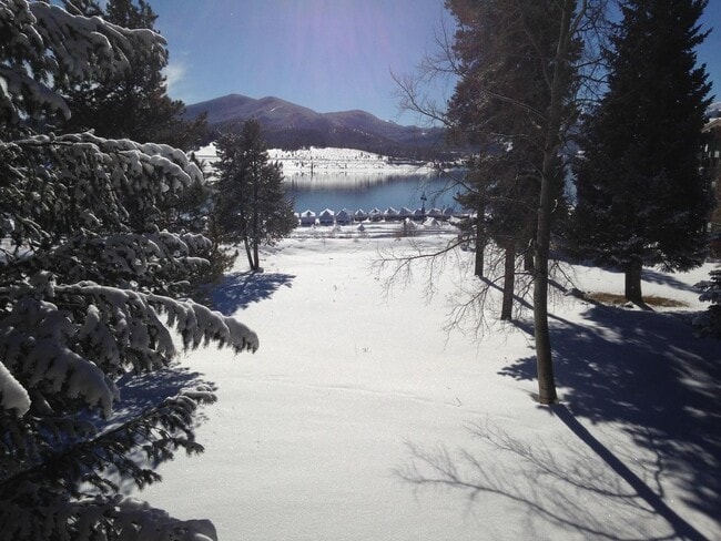 Building Photo - Winter Seasonal Rental- Lake Cliffe 201B